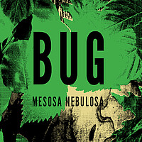 Albumcover Mesosa Nebulosa
