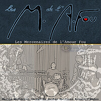 Albumcover Flugsalbi